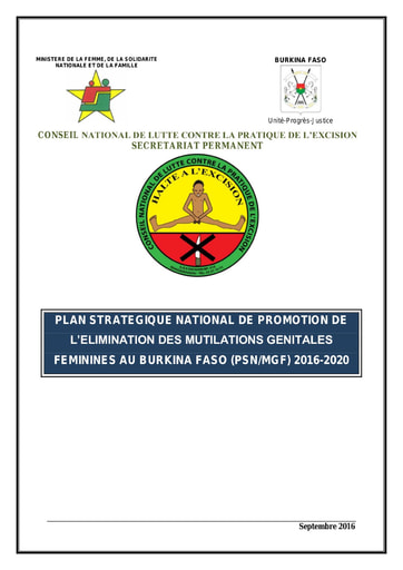 481 Conseil Nationale  2016 Plan stratégiq élimination mutilations BF  2016 2020